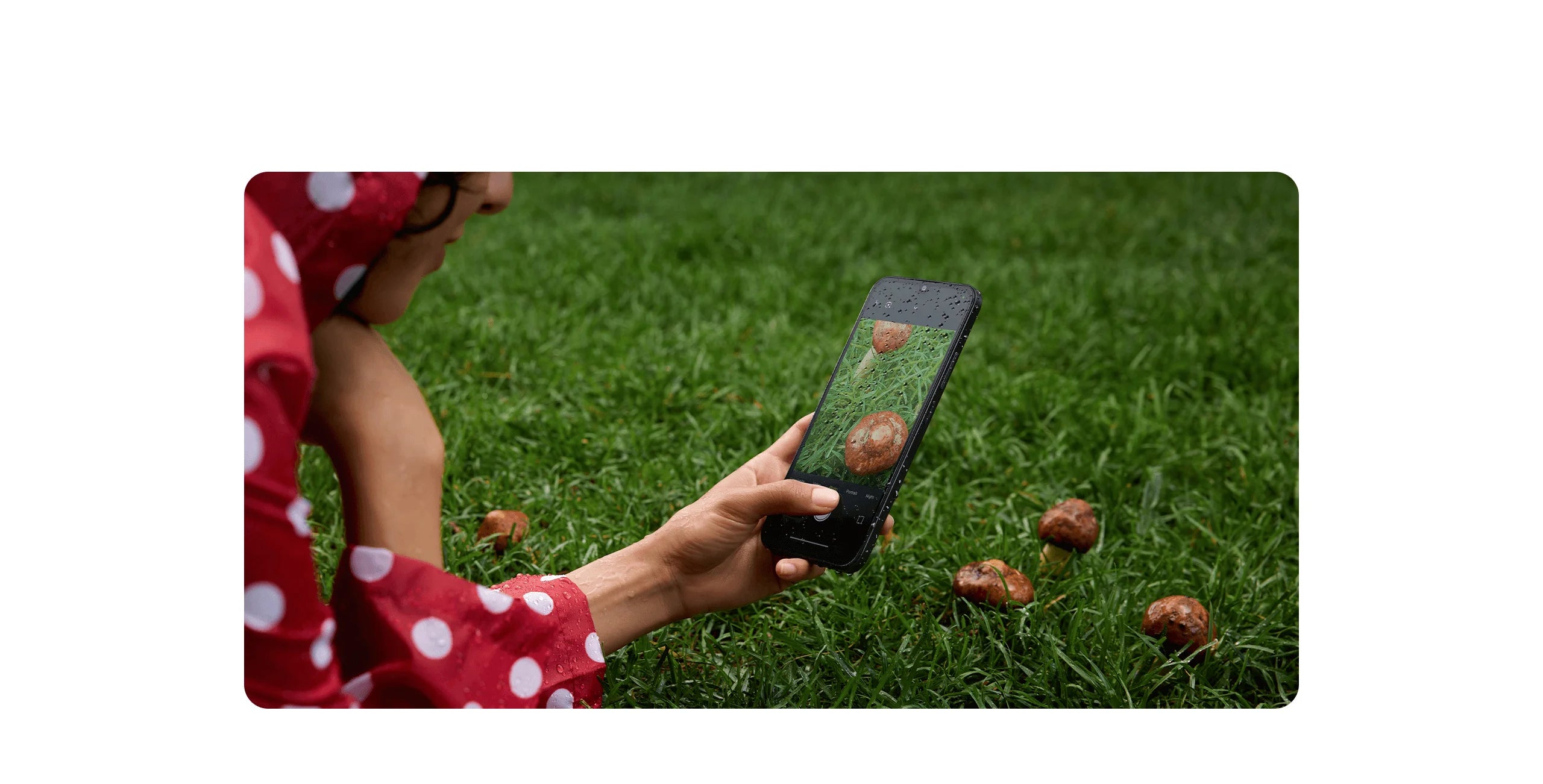Xiaomi Redmi 15C 8gb + 256gb
