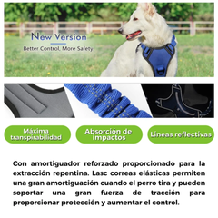 ARNES PECHERA CON ABSORCION DE IMPACTOS TALLA XL
