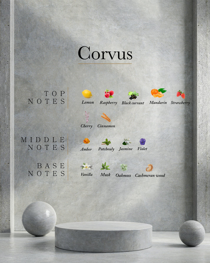 Ahli Corvus (femenina)
