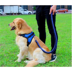 ARNES CON TRAILLA TRENZADA TALLA L