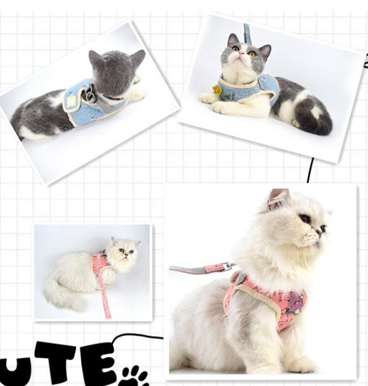 ARNES CHALECO PERROS/GATO XL